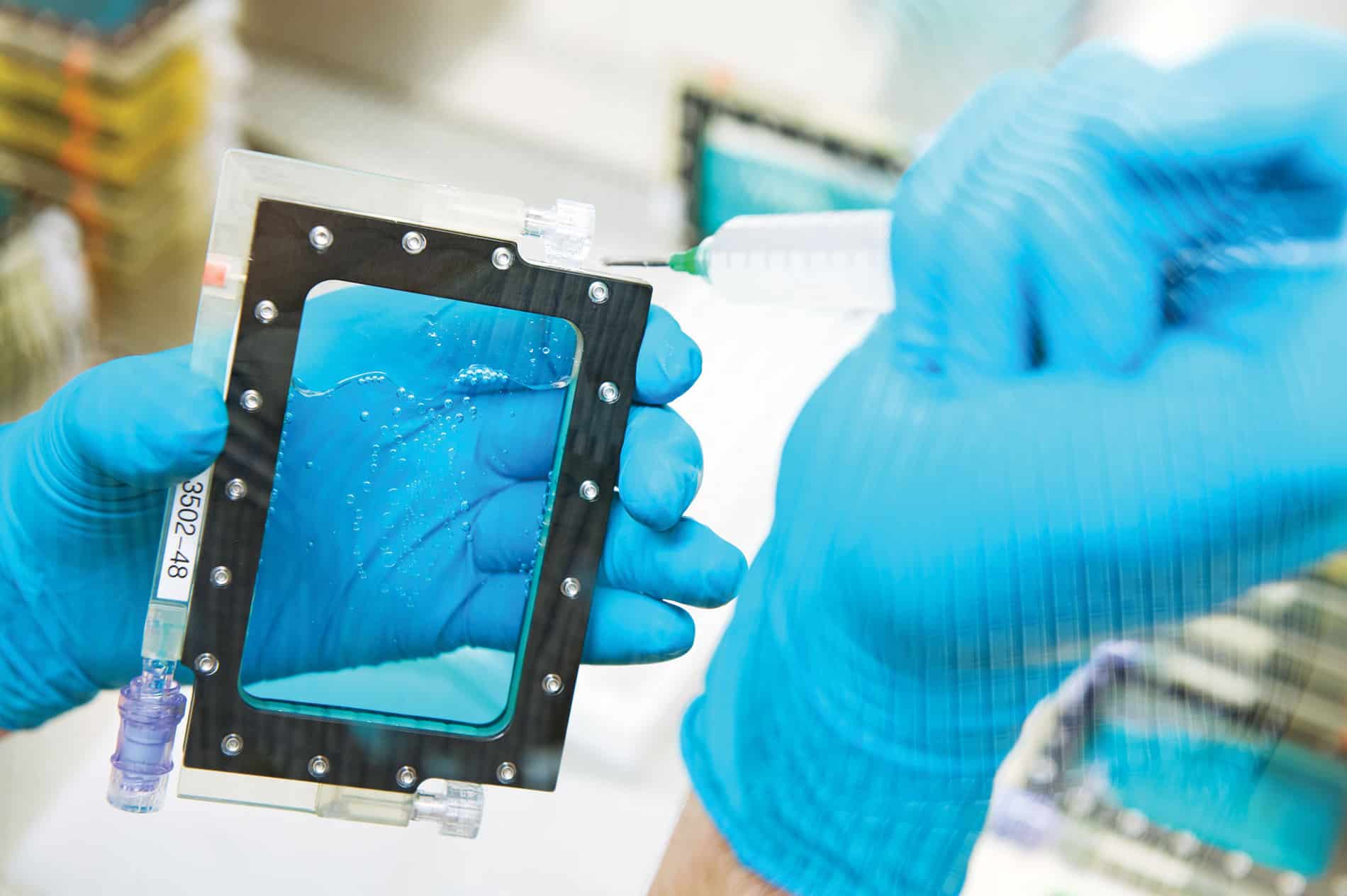 BioServe helps send research into orbit – BizWest