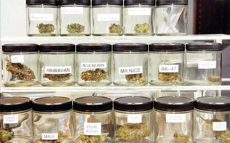 Cannabis jars