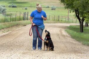 Happy Tails Dog Ranch