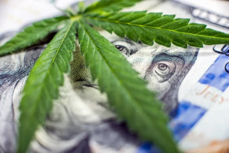 Marijuana leaf on top of money
