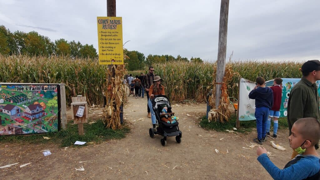 Anderson Farms corn maze