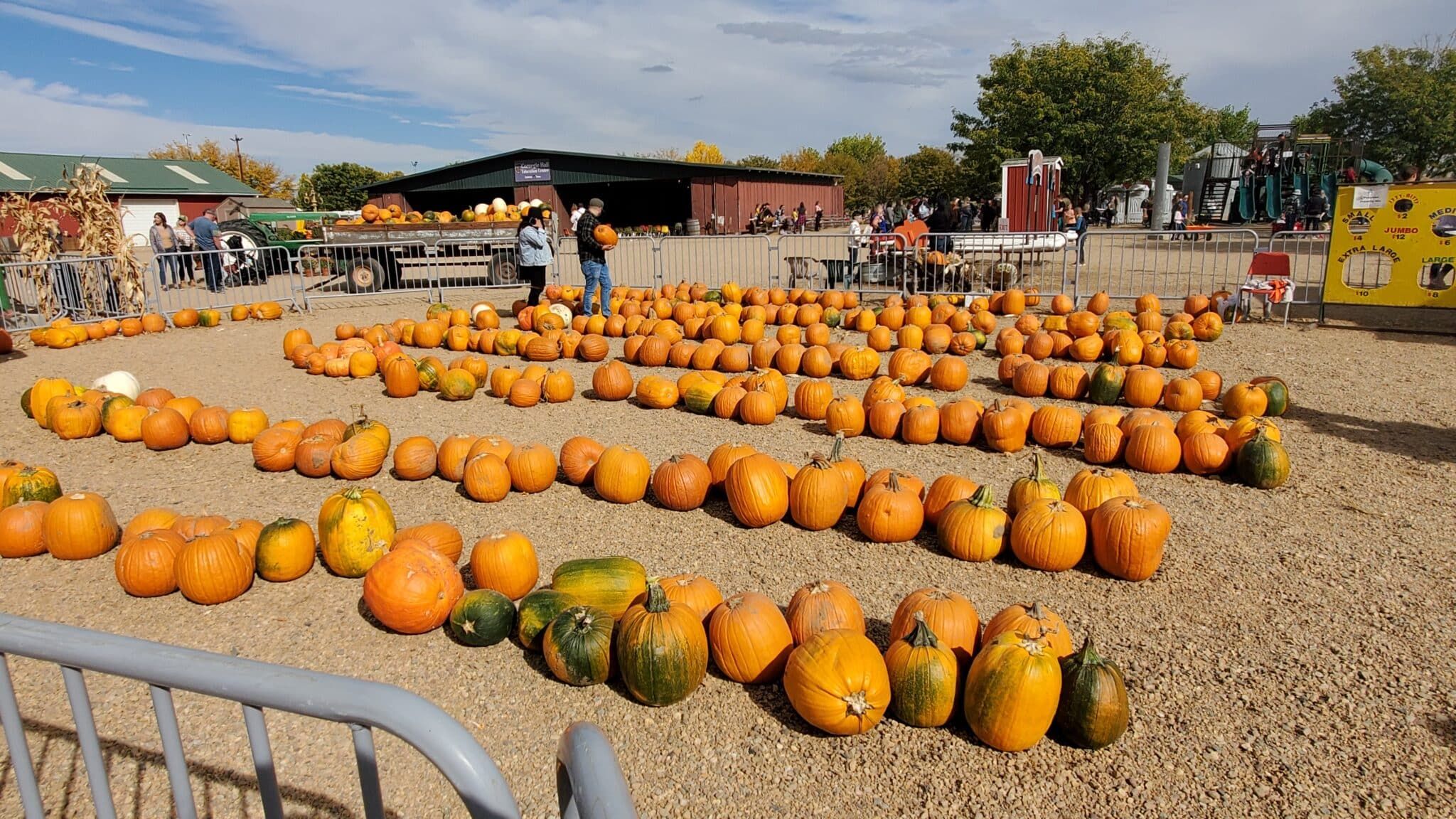 Anderson Farms Pumpkins