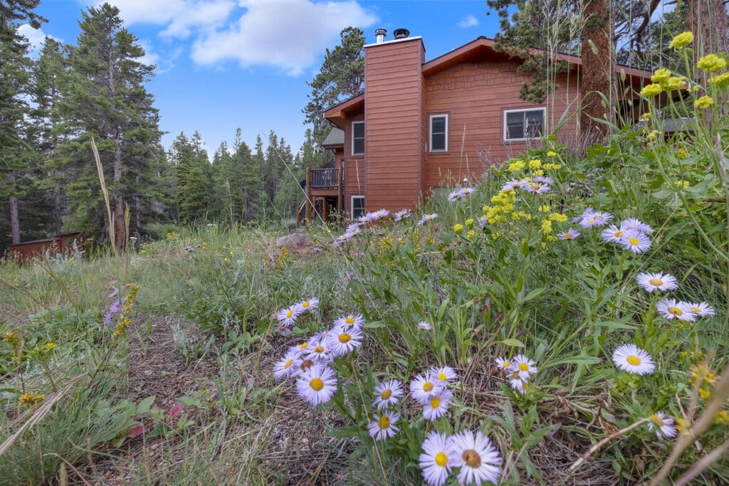 Alpine-Brook-vacation-rental-skyrun-estes-park-yard