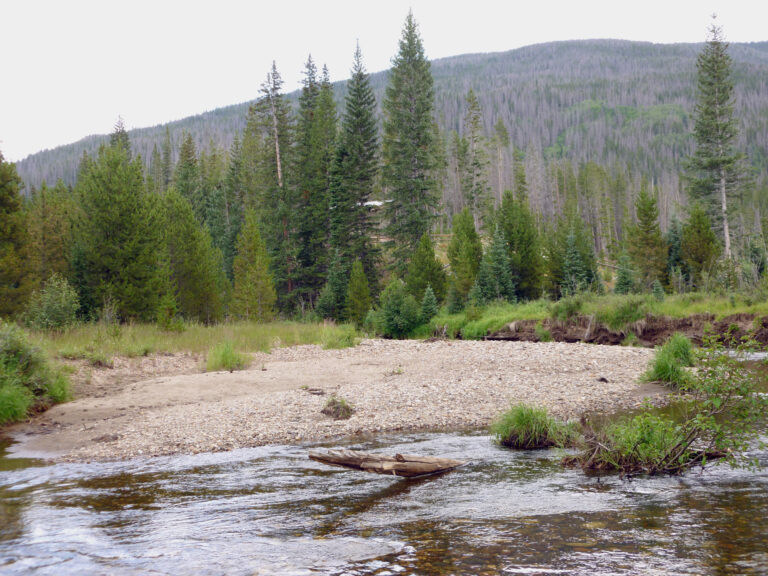 Colorado River Bank Near Timber Creek Campground