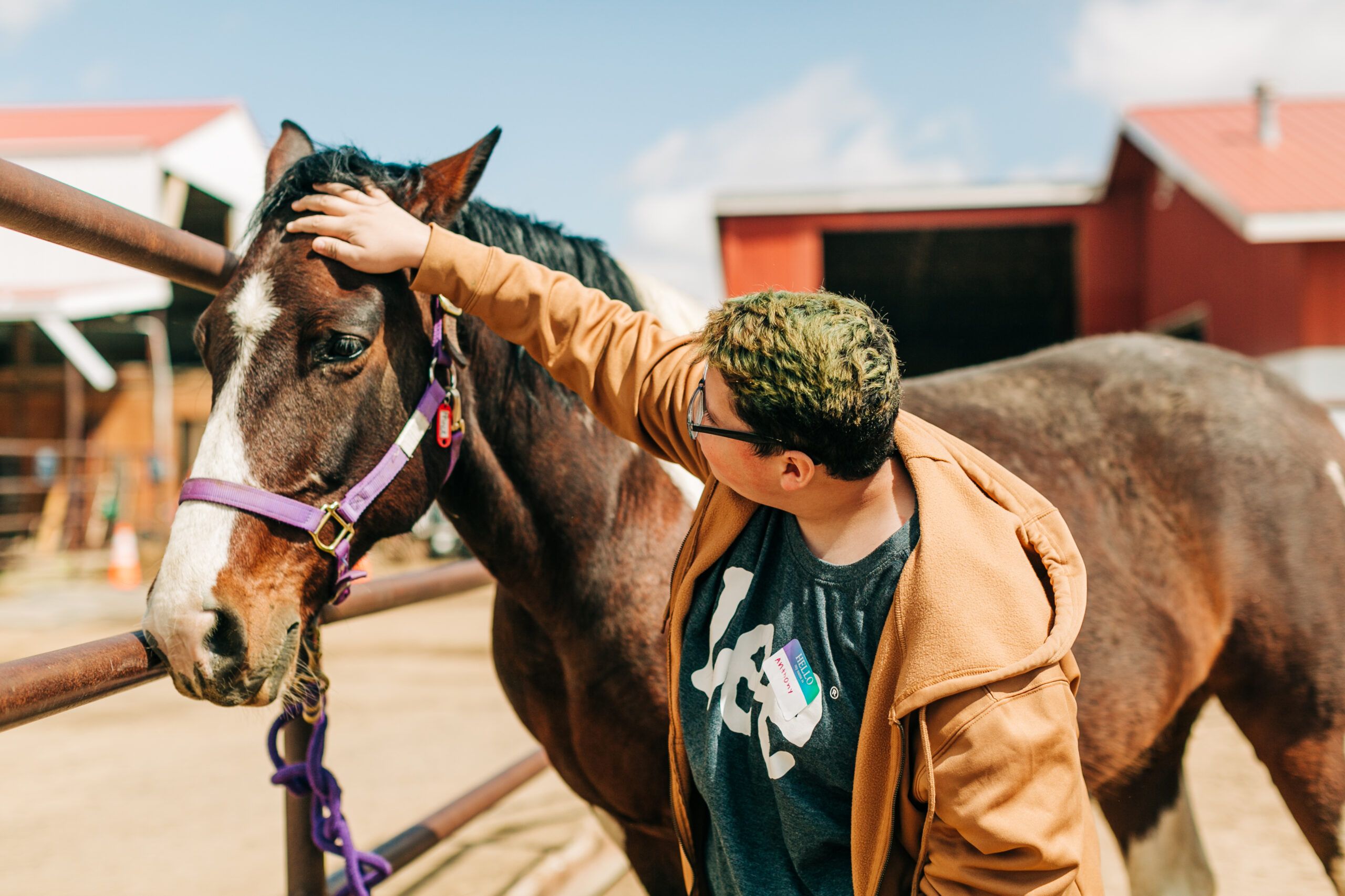 Medicine Horse