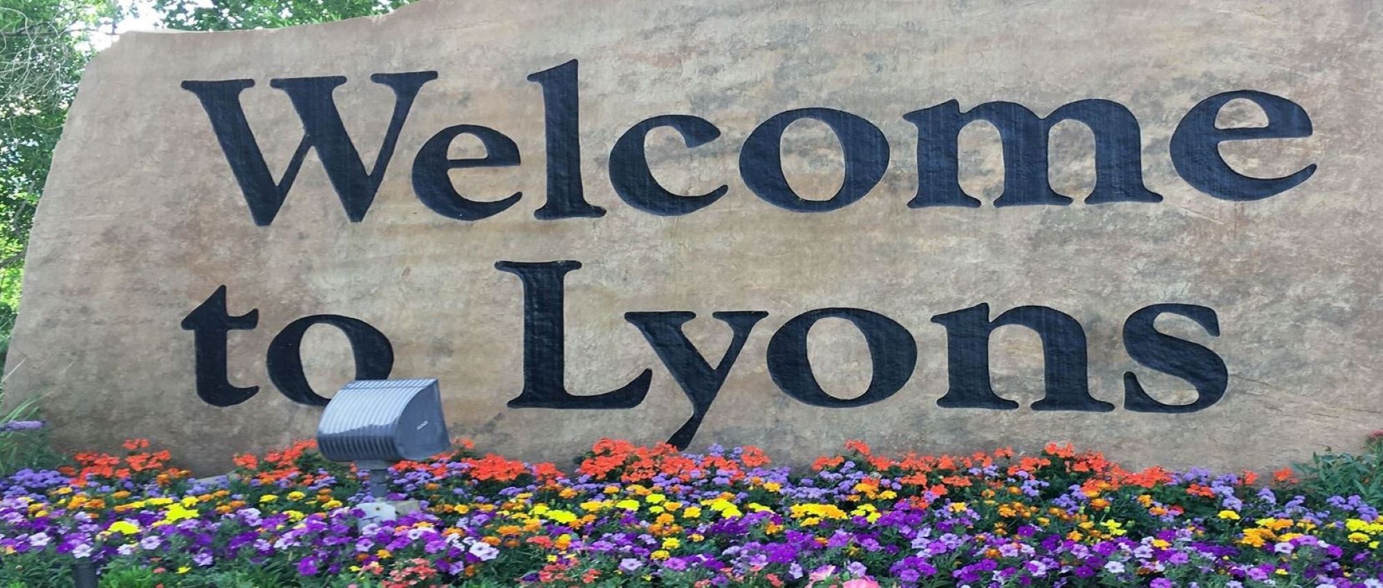 lyons.welcome