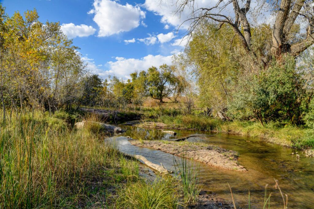 Larimer OKs 45-unit subdivision near Berthoud – BizWest