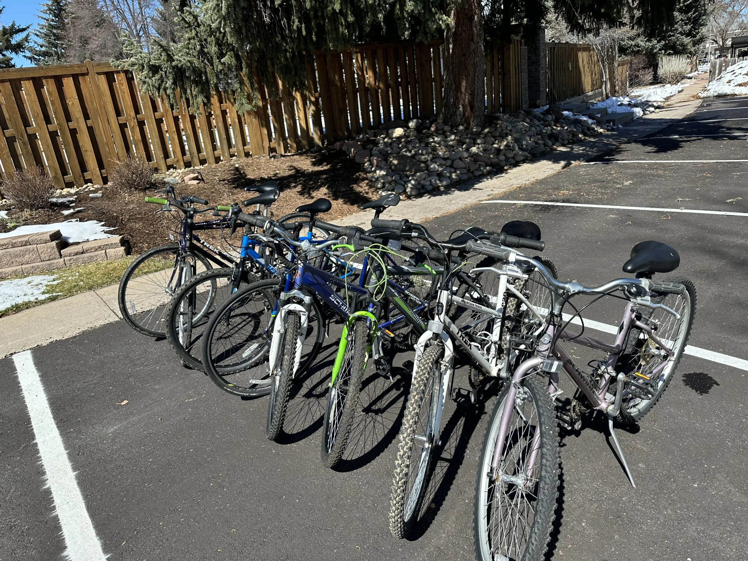 Sproutin' Up bikes