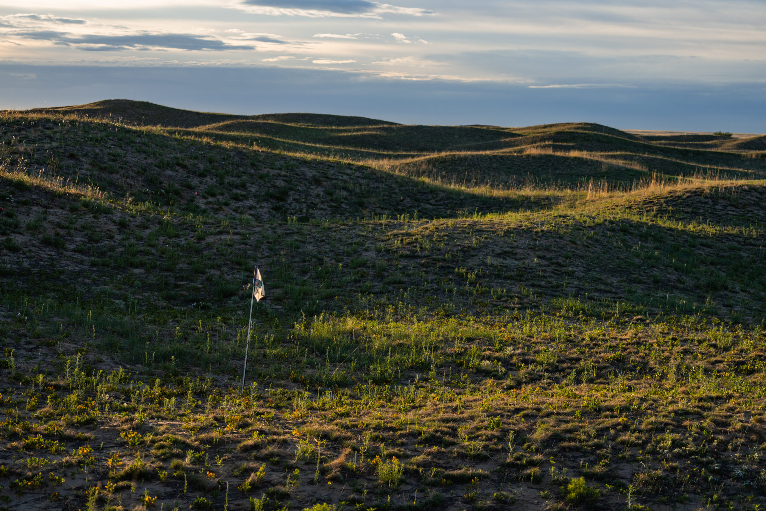 Rodeo Dunes