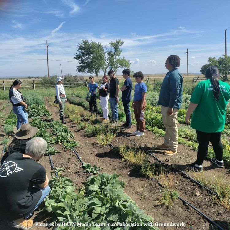 harvest for all First Nations