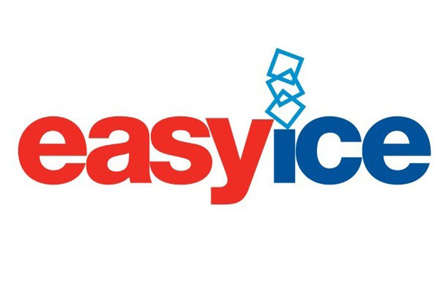 Easy Ice logo