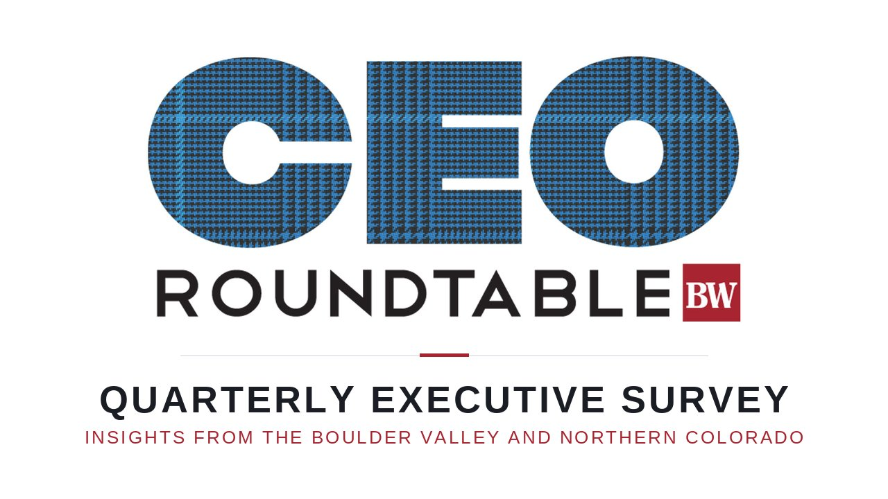 CEO Roundtable Executive Survey image