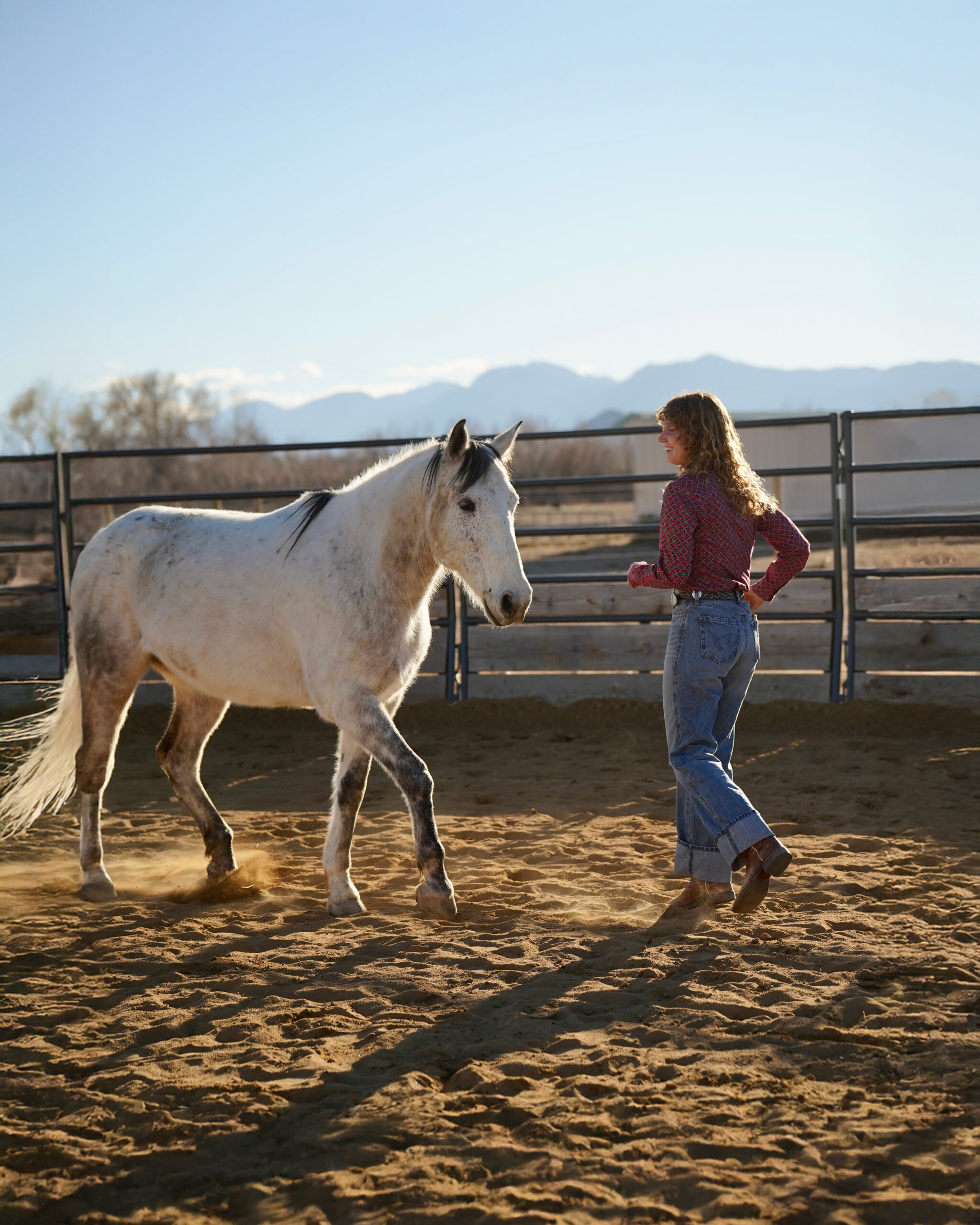 Colorado Horse Rescue photo